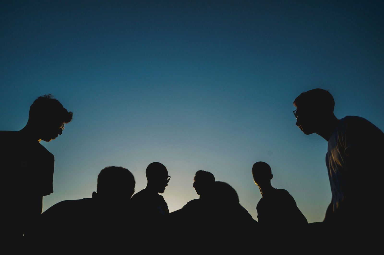 silhouette photo of people scaled