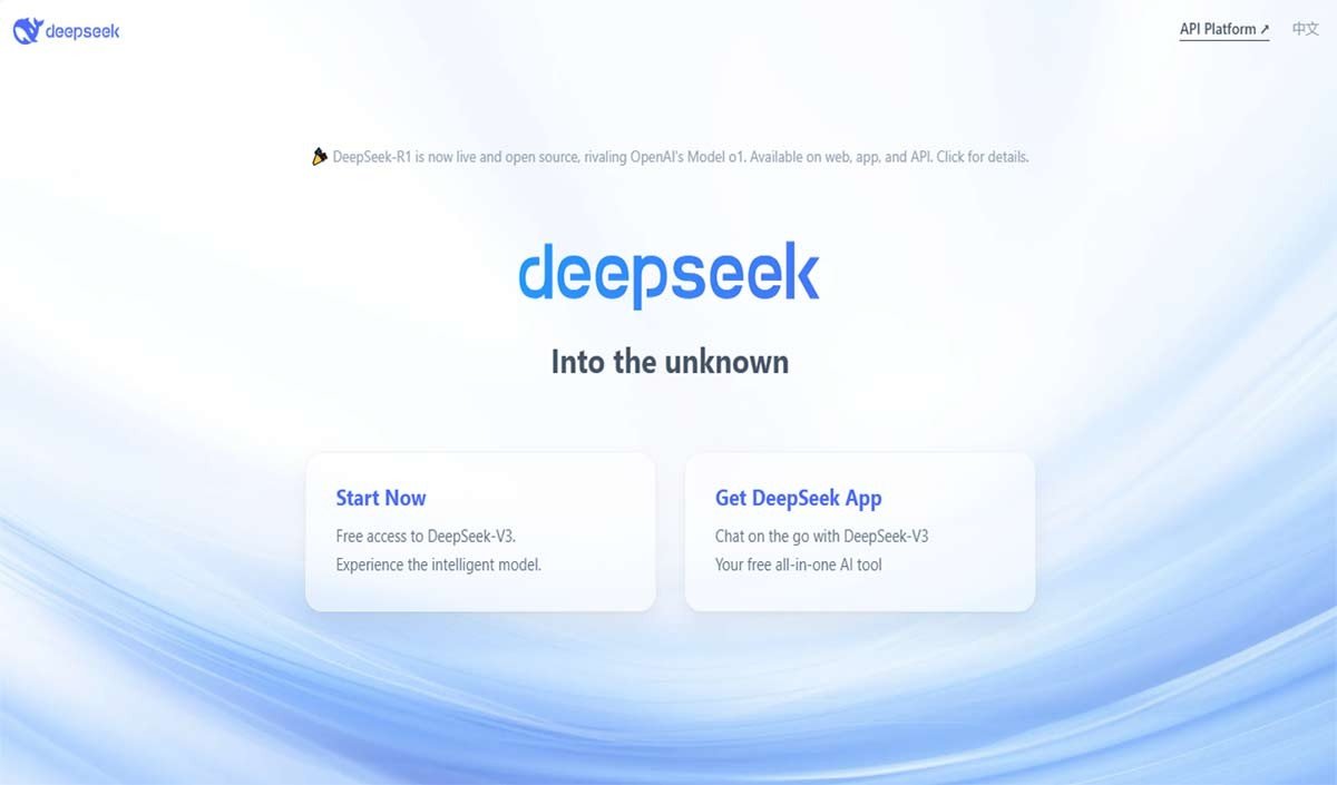 deepseek large 1322 23