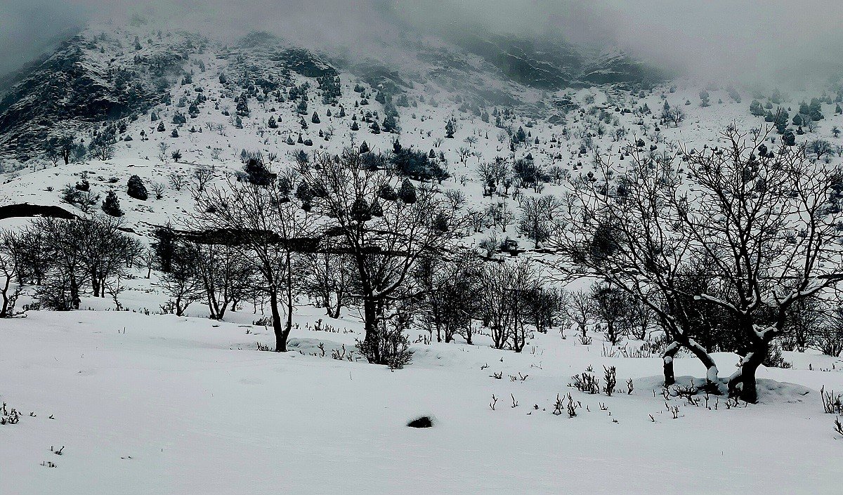 Heavy snowfall warning in Kashmir, rain-storm alert issued