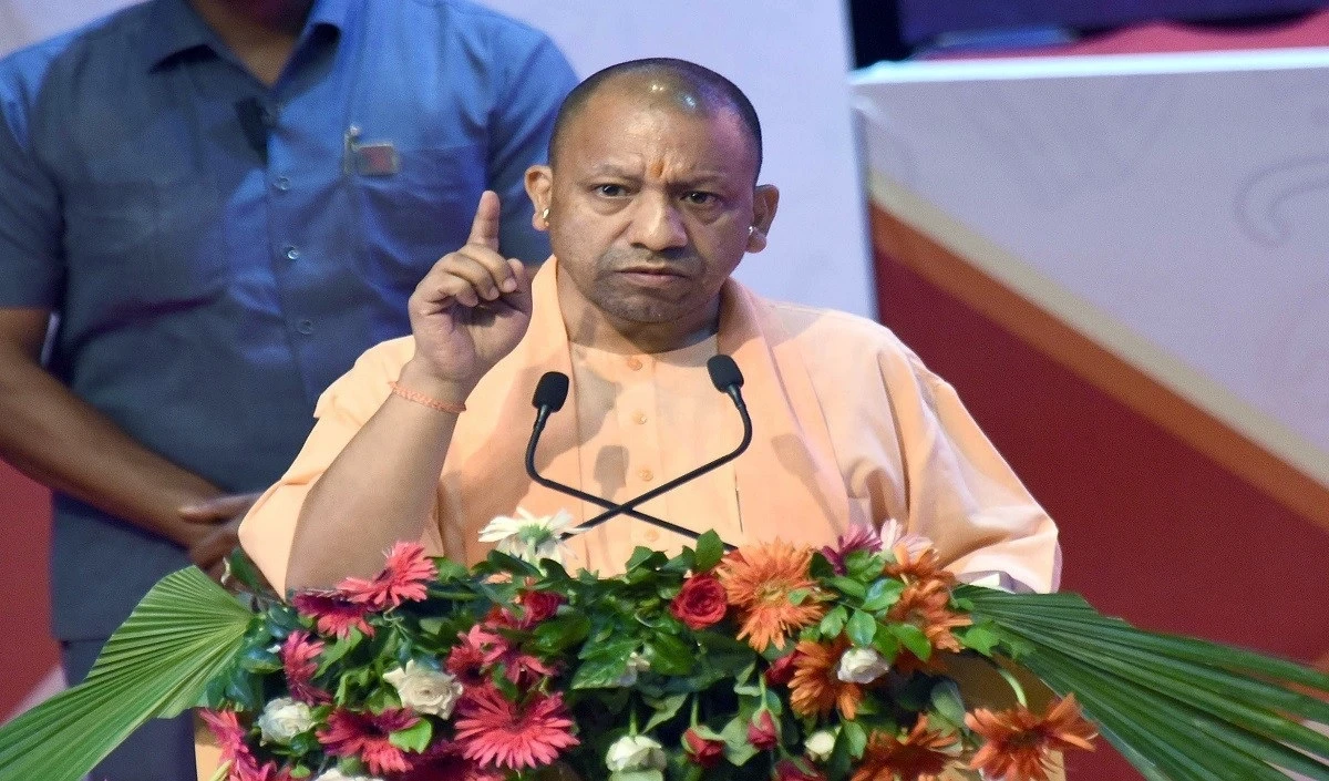 cm yogi large 0953 144.webp