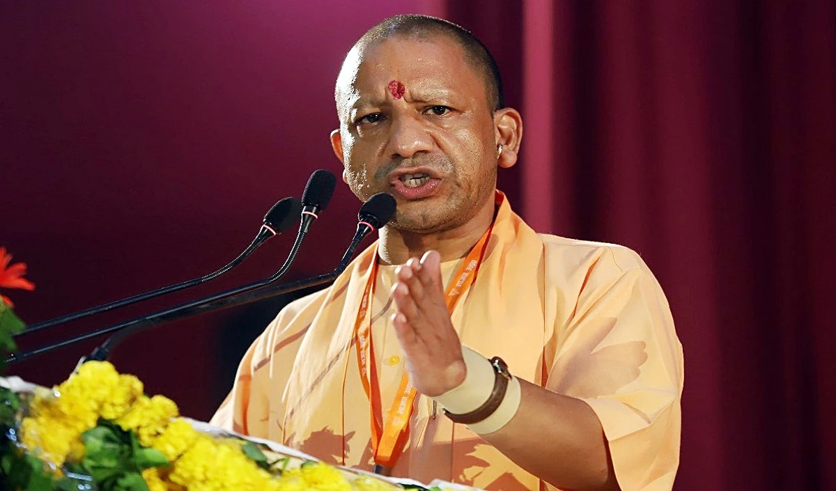 cm yogi large 1741 8.webp