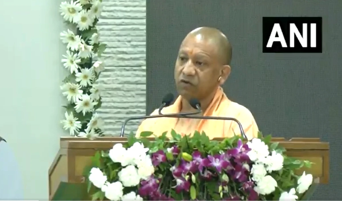 cm yogi large 1827 19.webp