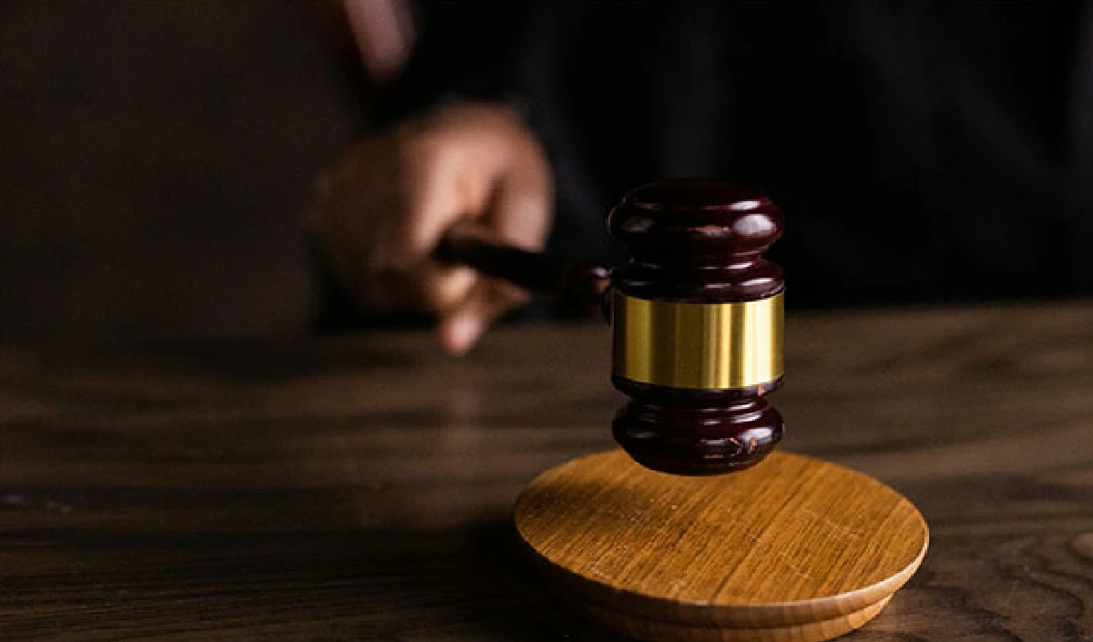 court large 1920 19.webp
