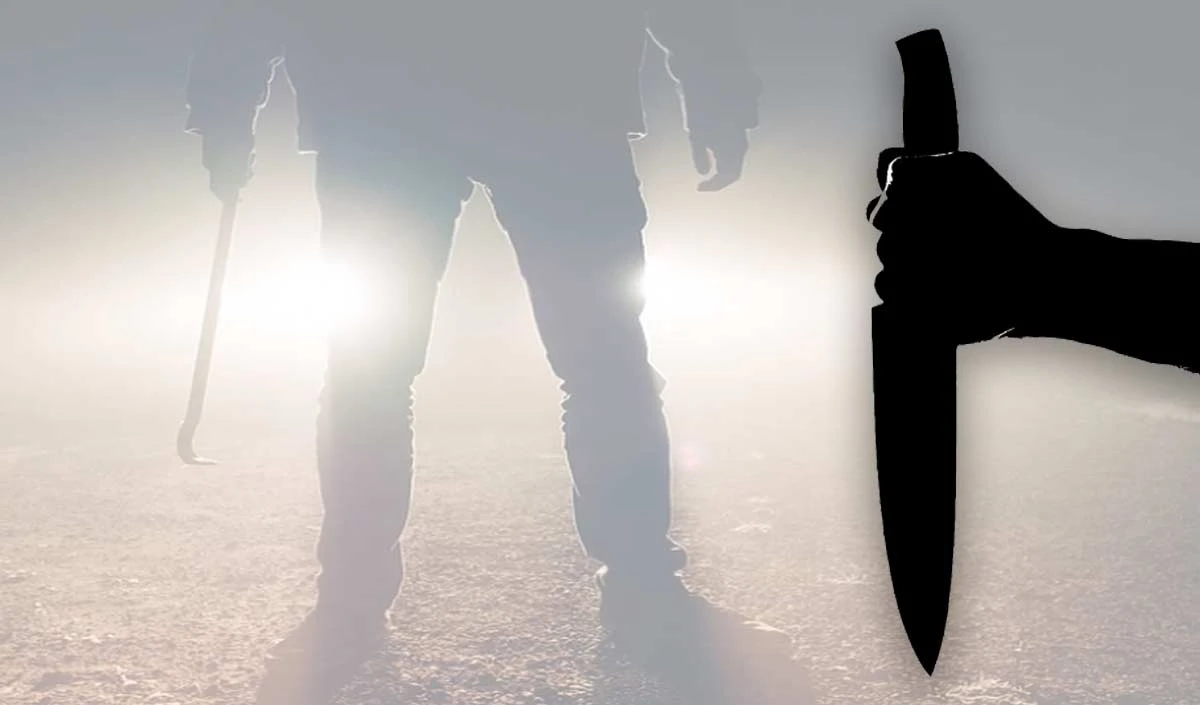 crime large 1230 23.webp