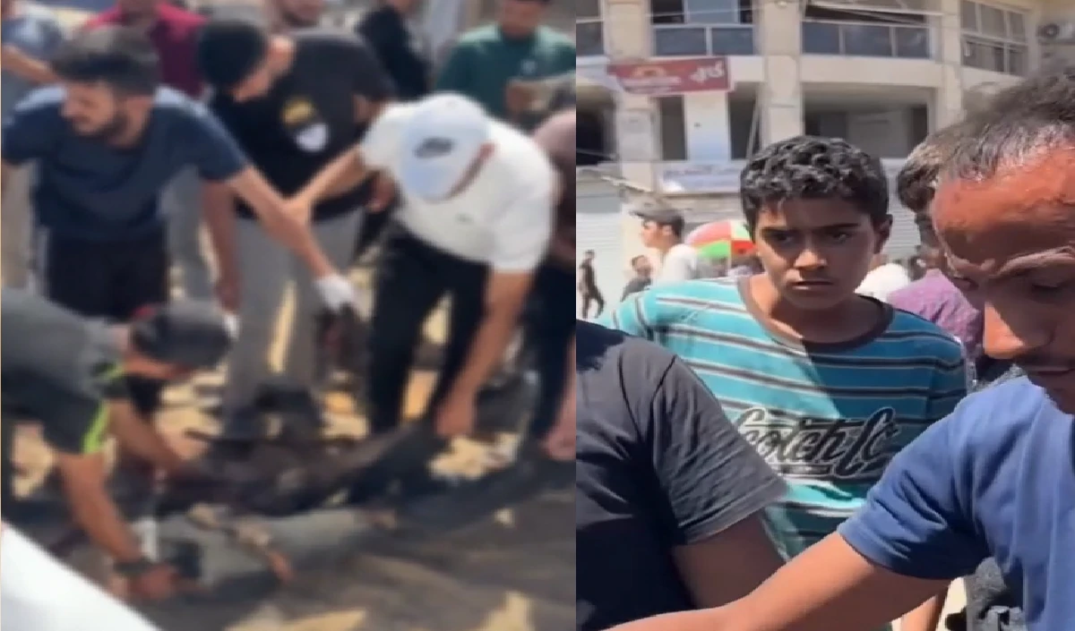 gaza large 1318 19.webp