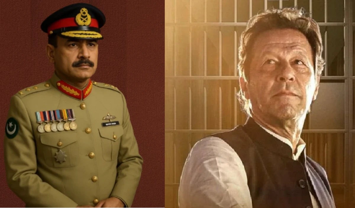 imran large 1221 19.webp