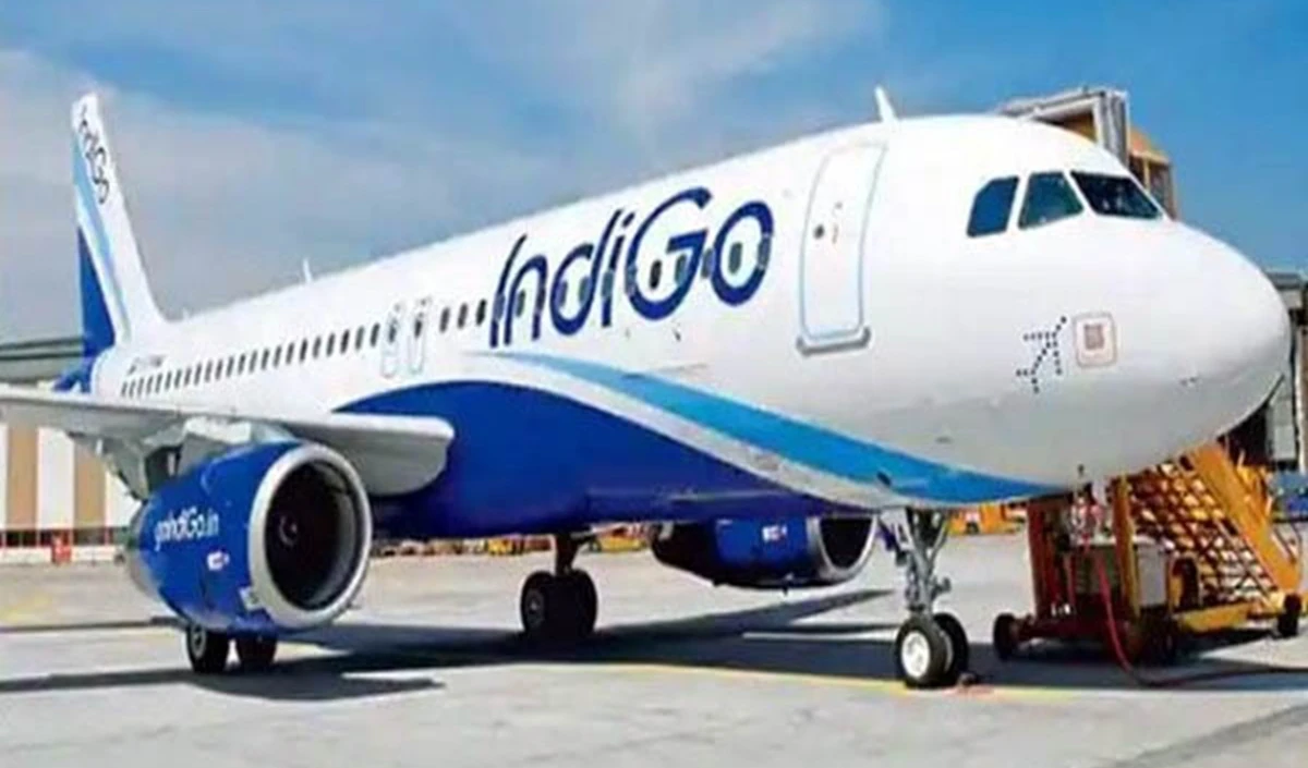 indigo large 0927 21.webp