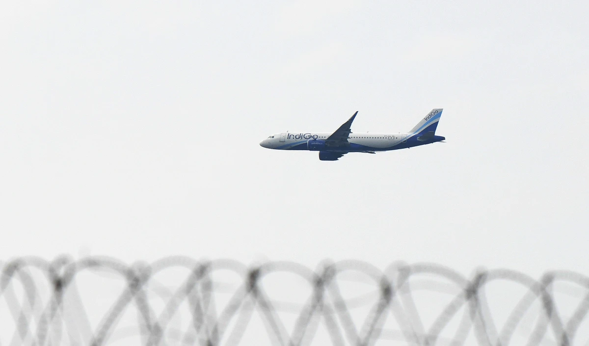 indigo large 1844 19.webp
