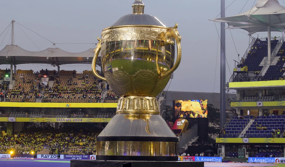 ipl large 1455 8.webp
