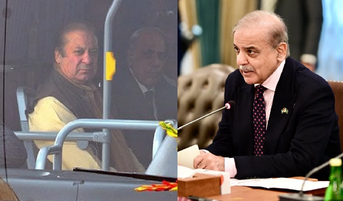 nawaz large 1952 19.webp