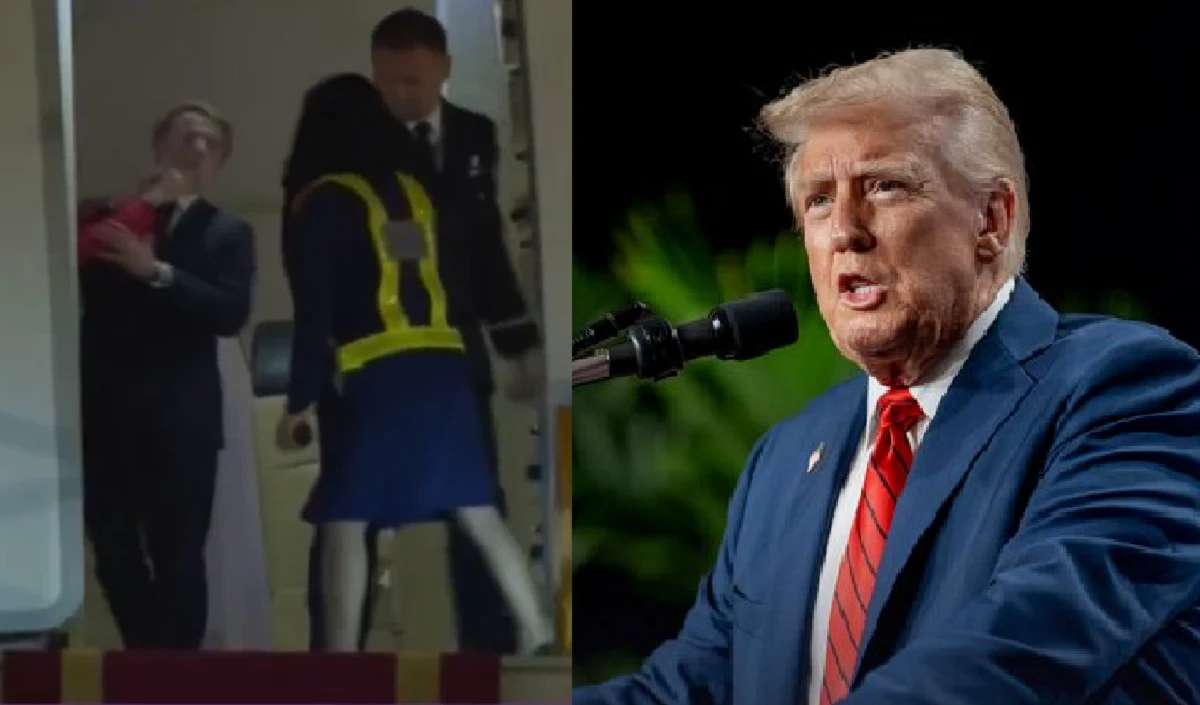 trump large 1843 19.webp