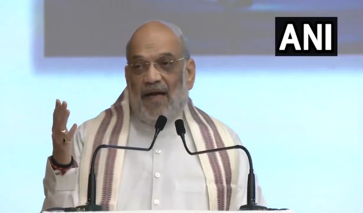amit shah large 1541 19.webp