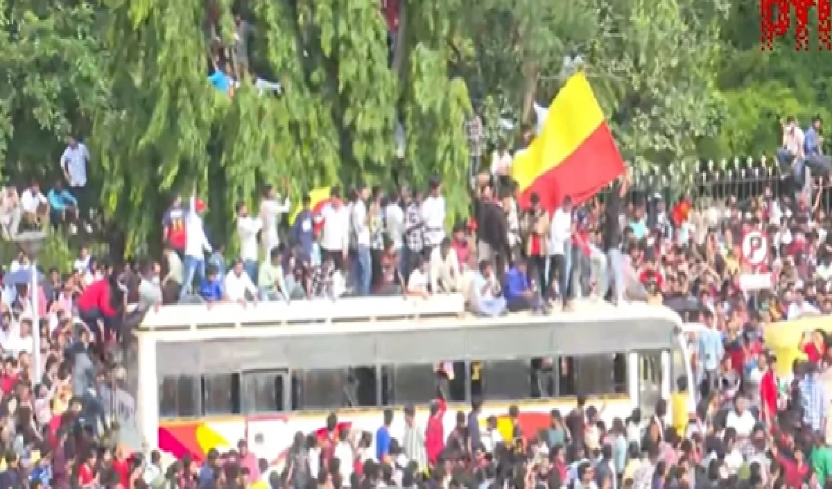 begaluru stampede large 1414 150.webp