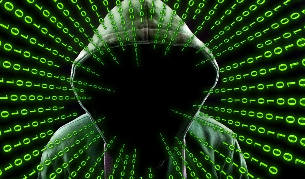 cyber fraud large 1019 153.webp