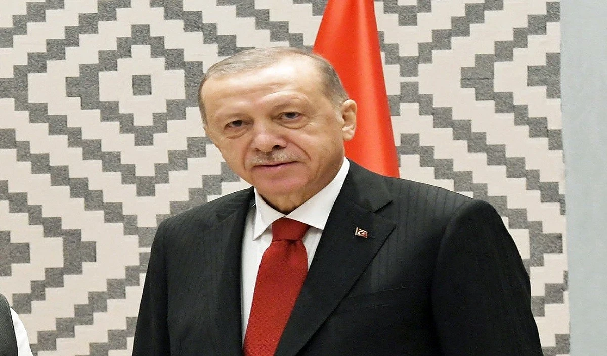 erdogan large 1707 19.webp