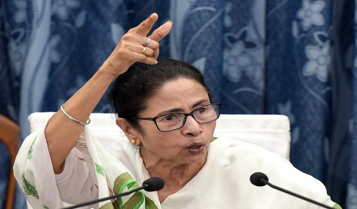 mamata large 1739 8.webp
