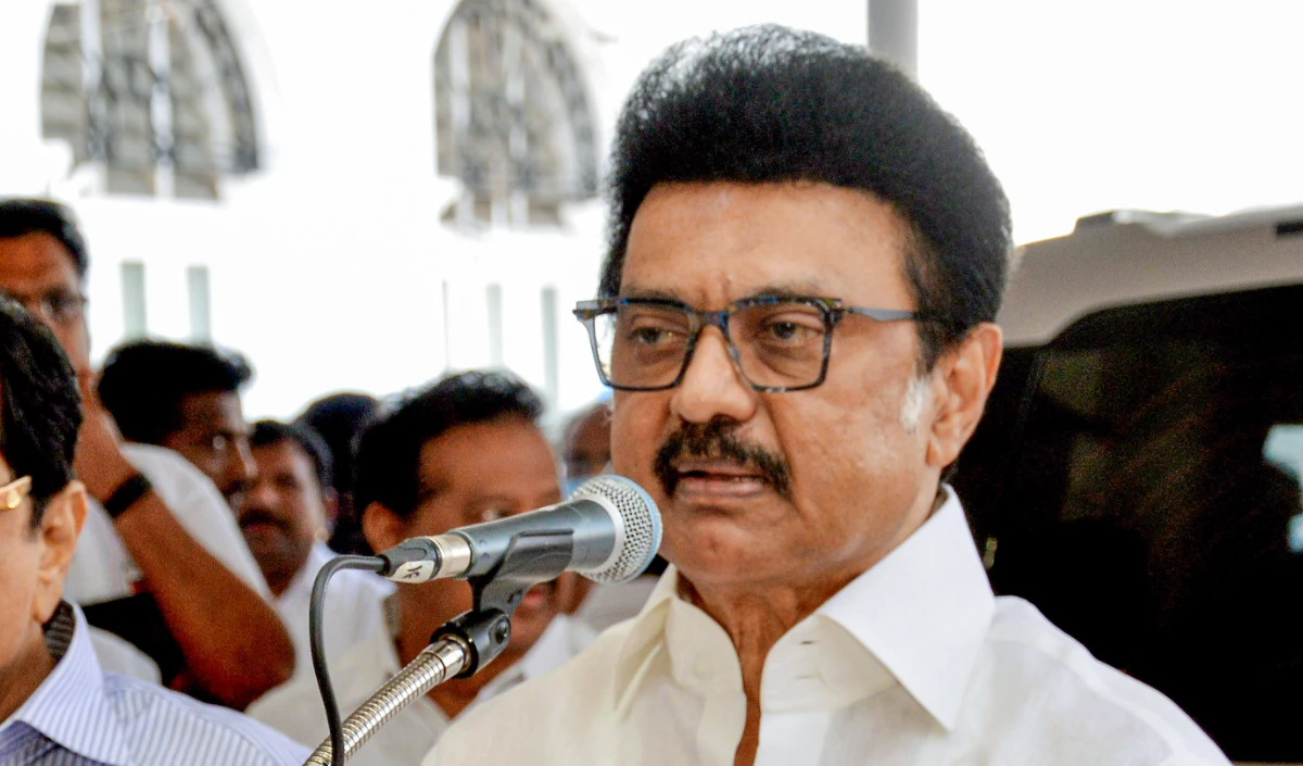 mk stalin large 1449 8.webp