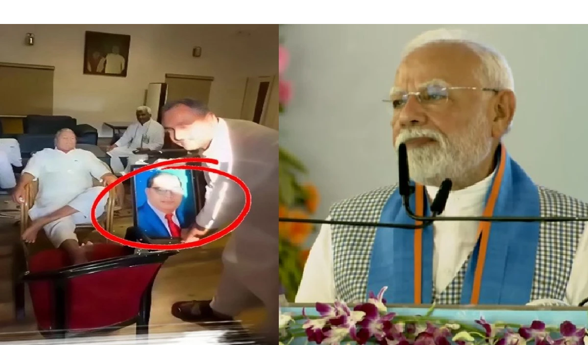 modi large 1613 19.webp