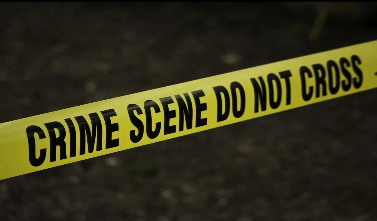 murder large 1018 153.webp