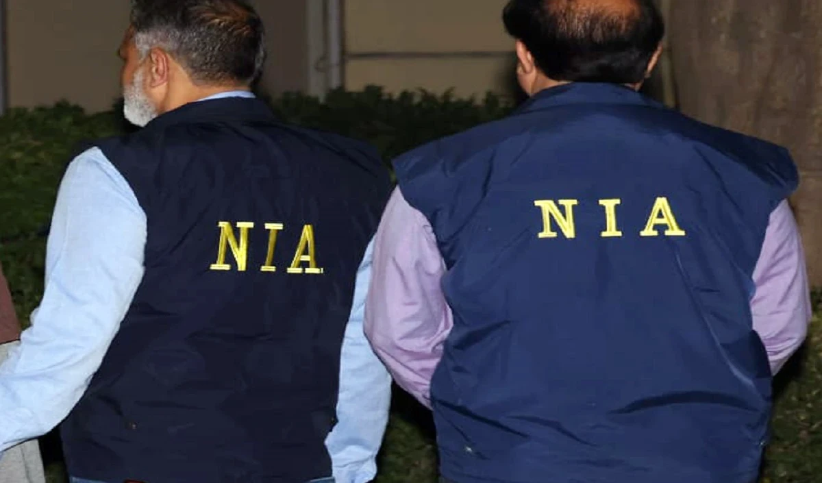 nia large 1634 19.webp