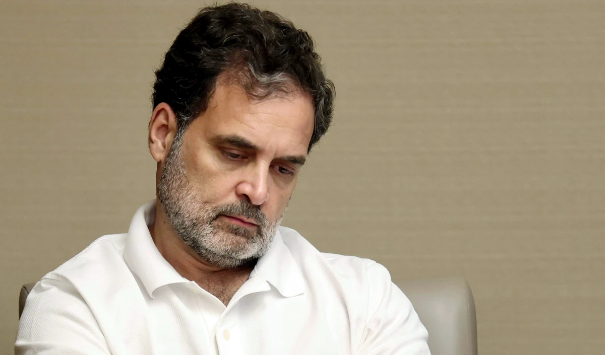 rahul gandhi large 1601 8.webp