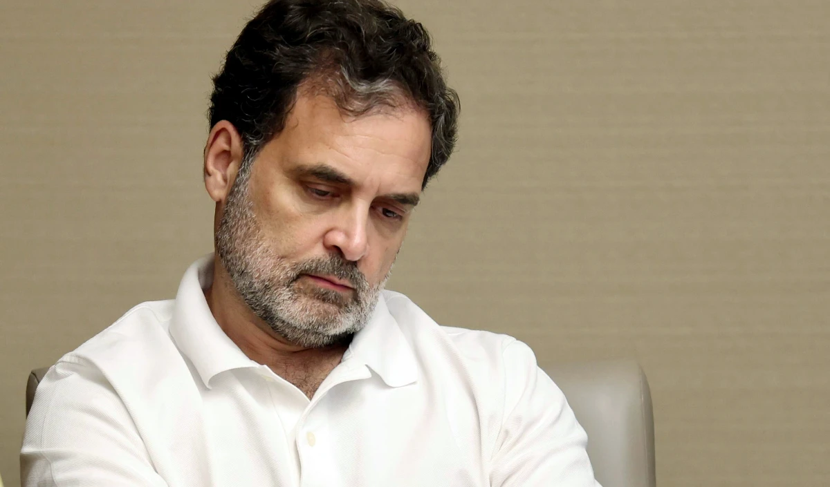 rahul gandhi large 1652 8.webp