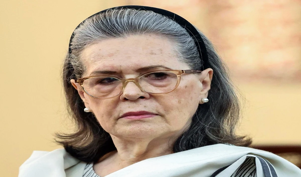 sonia gandhi large 1901 8.webp