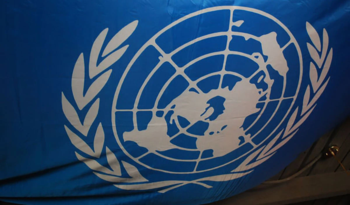 united nations flag large 1334 23.webp