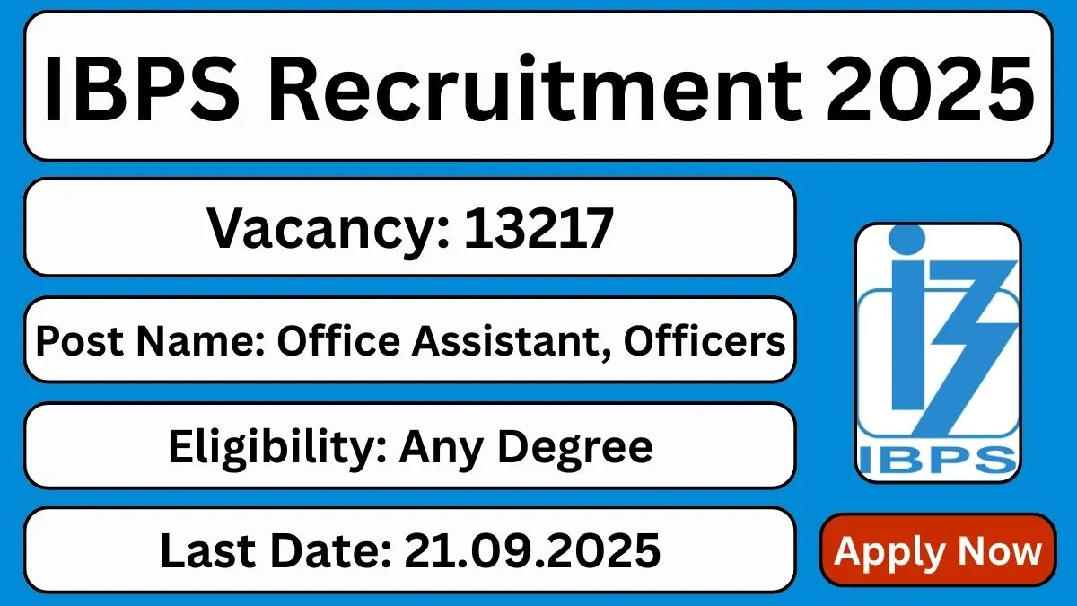 IBPS RRB Recruitment 2025 (13,217 Posts Vacancy) - SarkariResultDaily.in